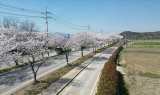 김한종 장성군수 