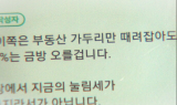 [줌인 부동산] ‘단톡방’ 가격 담합, 내년부터 처벌