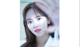 바슈롬코리아, '레이셀' & '레이셀 컬러스' 신제품 출시