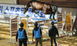 한국마사회, 제주서 ‘어린말 승마대회’·‘승용마 품평회’ 성료