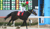 한국마사회 “1등급 경주마들의 1,400m 경주 지켜보세요”