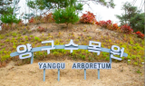 ﻿양구수목원, 해마다 방문객 급증 ... 지역 대표관광지로 입지 구축