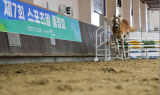 한국마사회, ‘스포츠말 품평회’·’어린말 승마대회’ 개최