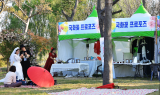 함평군 국향대전 '국화꽃 프러포즈' 인기