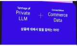 커넥트웨이브 “커머스 특화 AI로 플랫폼 개발”
