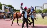 최강 스프린터 선점할 경주마는…새해 첫 1,200m 단거리 대결 ‘관심’