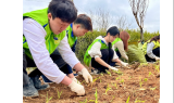 LH, 전국 산불 피해 지역서 나무심기 봉사활동 진행