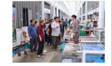 '동네한바퀴', ﻿박상수 삼척시장 ... 근덕면에서 만나다.
